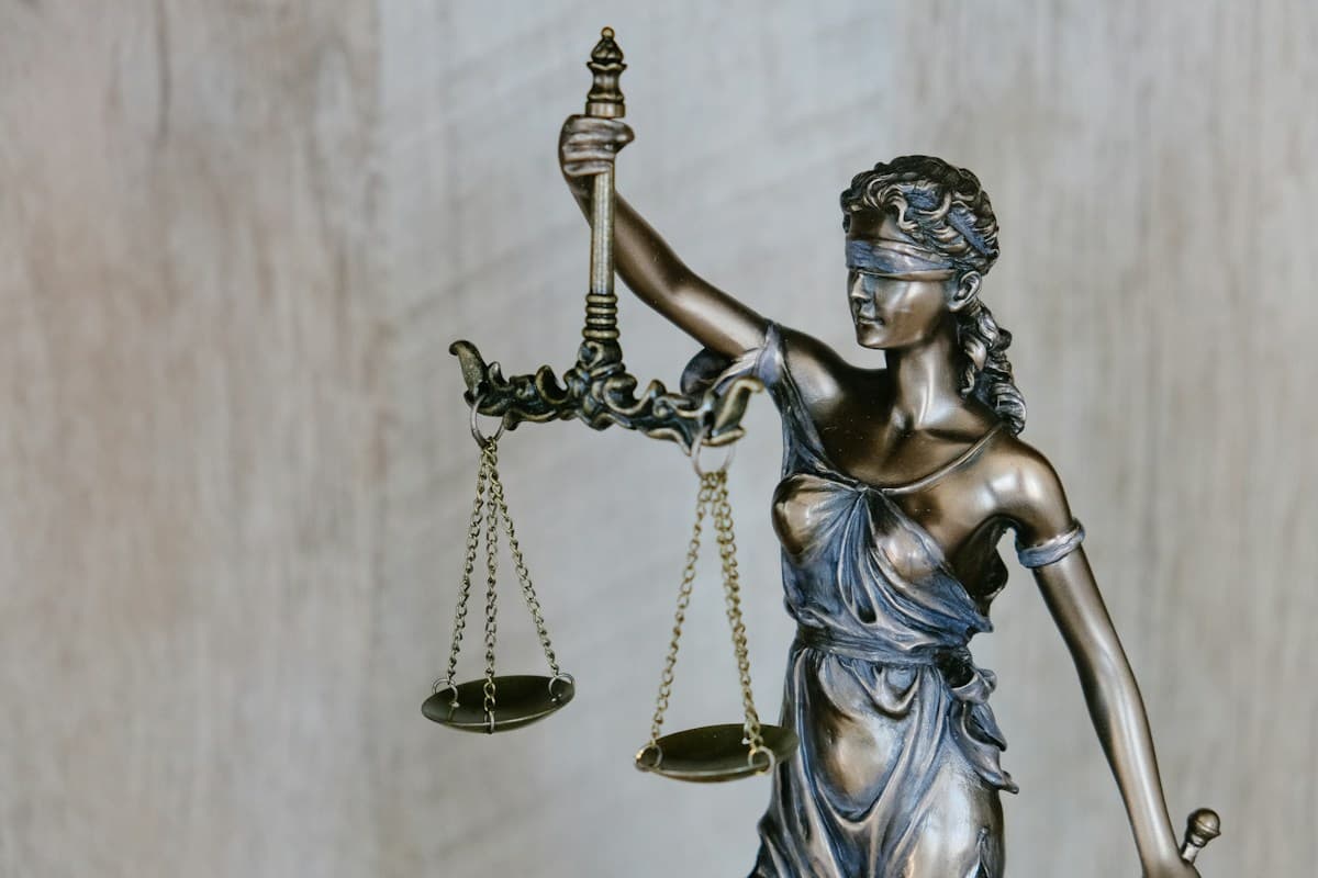 Law library and rigorous legal preparation